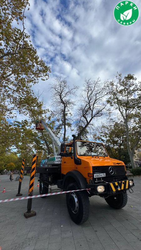 «Парки и скверы» готовит город к сезону ветров