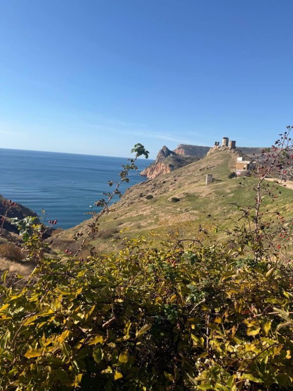 ������� �����: ����������� ��������� � ����� ����� ����! ���� ������� ��������