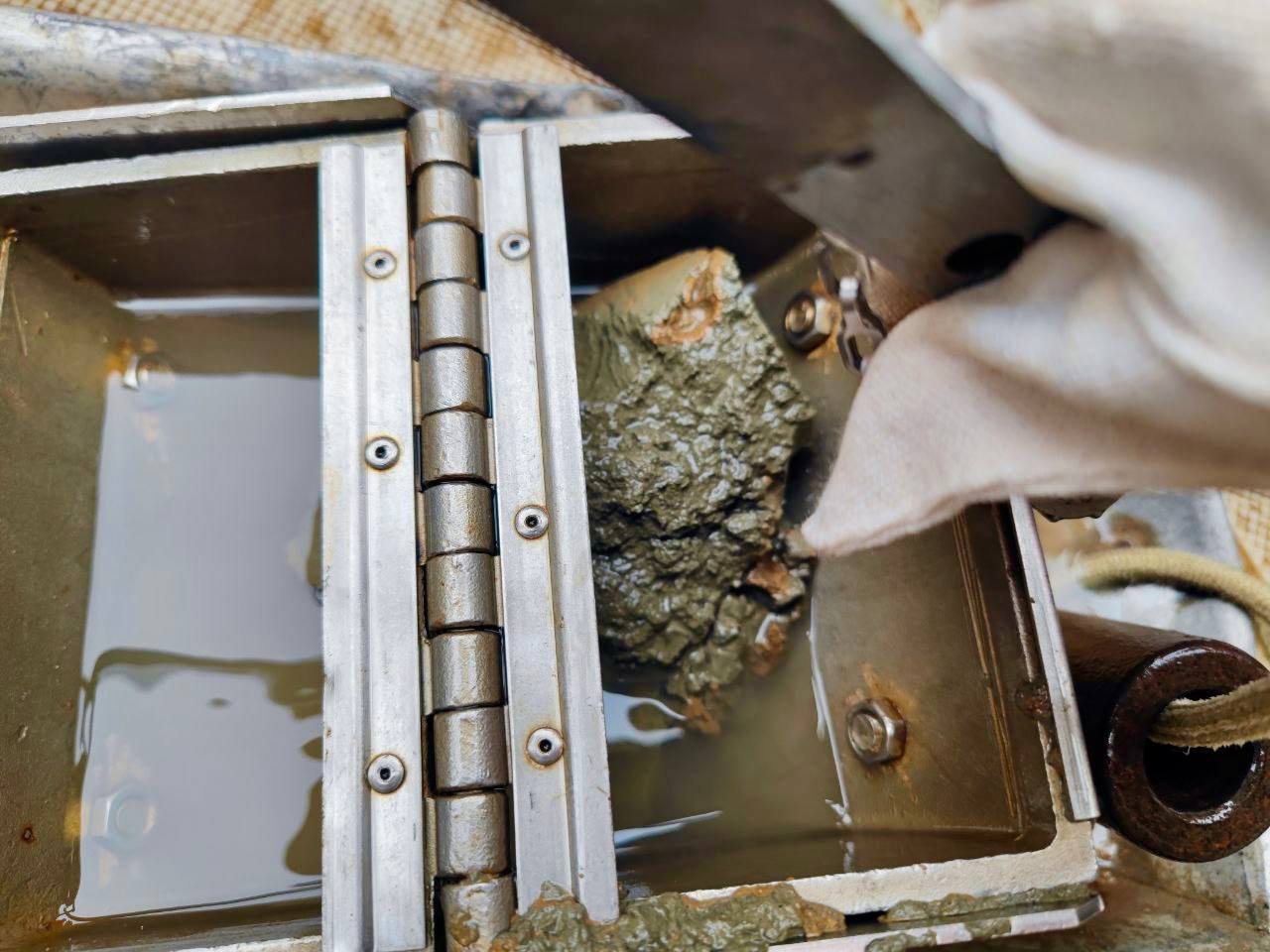 Севастопольские учёные исследуют экосистему вьетнамской реки Донгнай Севастопольские учёные исследуют экосистему вьетнамской реки Донгнай