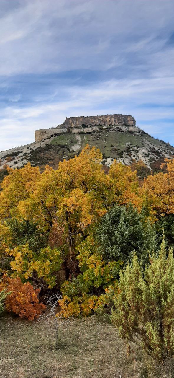Всем доброго настроя на день!