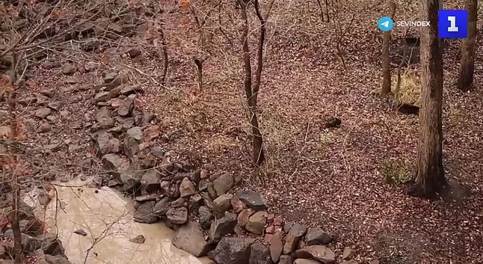 � ���������� ������-����� �������� �������� � ������, ������� �� ����� �������������� ���� � ������������ ����� �������� � �������