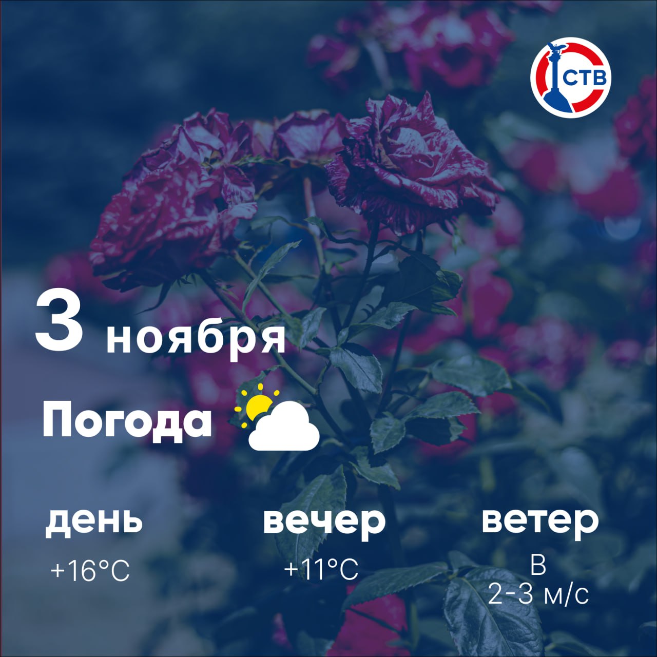 Доброе утро, севастопольцы! Сегодня, 3 ноября, в городе переменная облачность