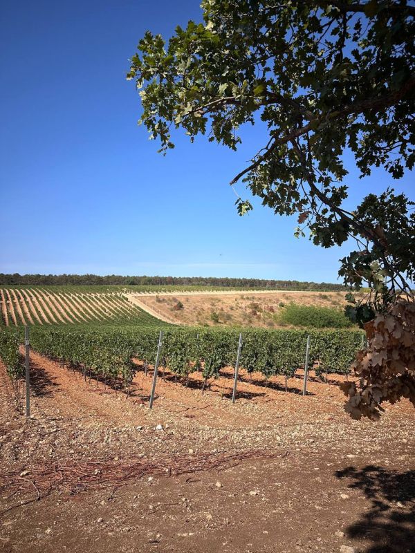 Доброе утро, Севастополь!. Погода на 3 ноября: • пасмурно