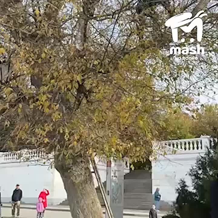 ������ ����� ������ ������� � �����������