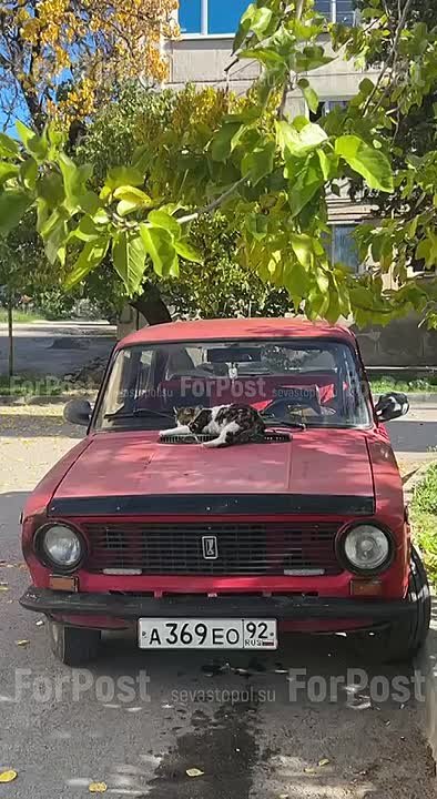 Начало ноября обещает севастопольцам хорошую погоду