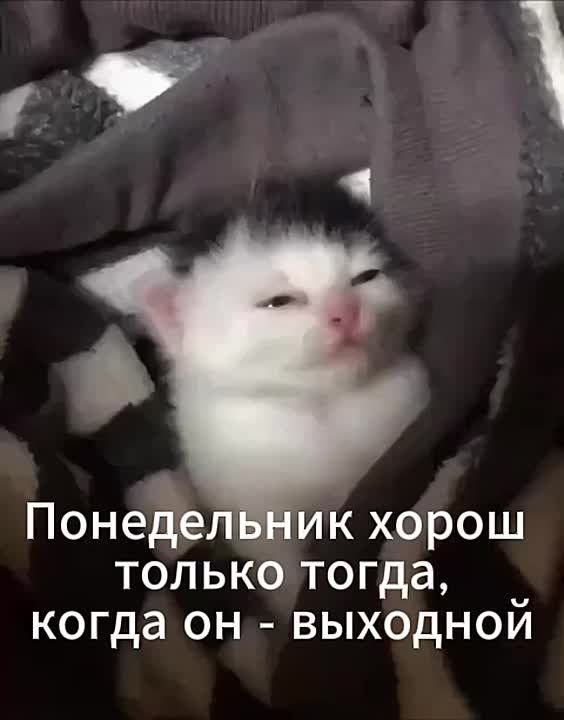 Хороший сегодня понедельник: прогноз магнитных бурь на неделю