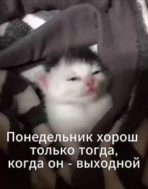 Хороший сегодня понедельник: прогноз магнитных бурь на неделю