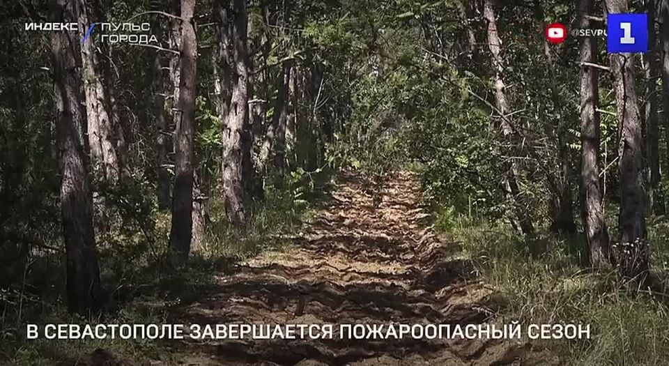 В Севастополе 3 ноября завершился пожароопасный сезон