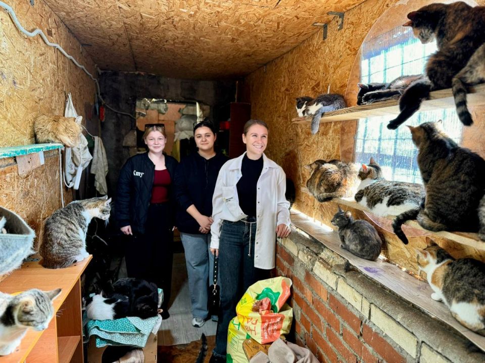 Помощь братьям меньшим. Студенты педагогического колледжа и архитектурно-строительного техникума передали котикам местечка «Кошкин дом» и центра передержки «Шанс» корм и хозяйственные принадлежности Помощь братьям меньшим. Студенты педагогического колледжа и архитектурно-строительного техникума передали котикам местечка «Кошкин дом» и центра передержки «Шанс» корм и хозяйственные принадлежности