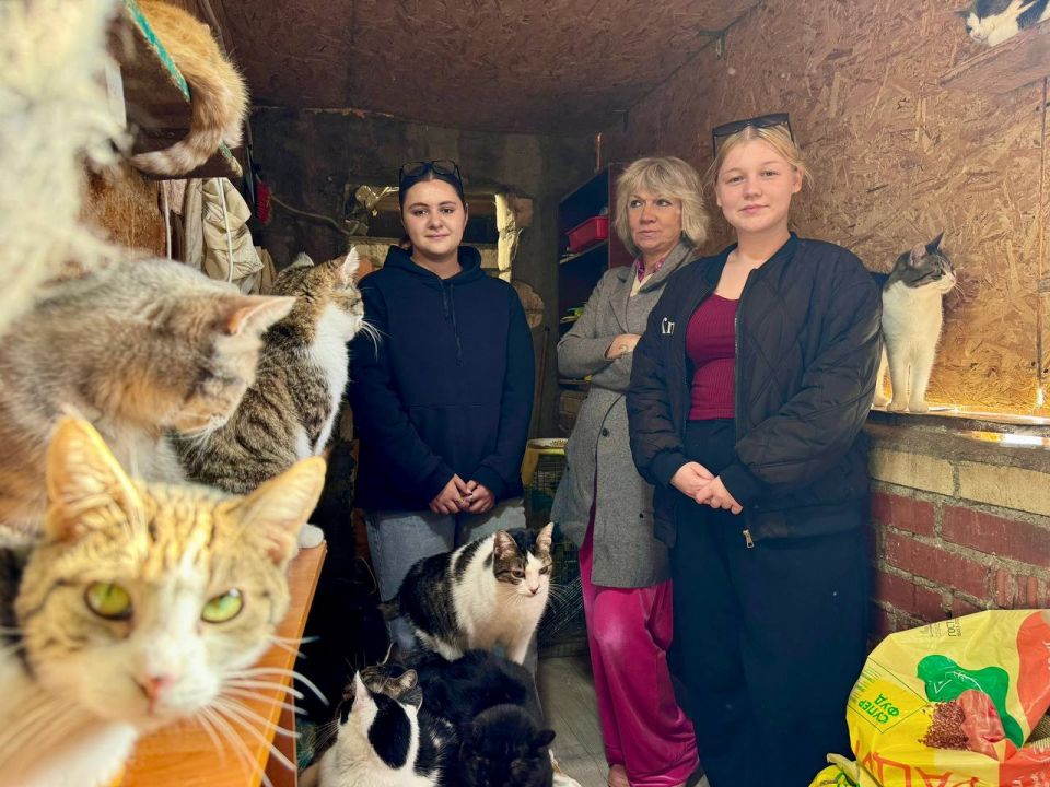 Помощь братьям меньшим. Студенты педагогического колледжа и архитектурно-строительного техникума передали котикам местечка «Кошкин дом» и центра передержки «Шанс» корм и хозяйственные принадлежности Помощь братьям меньшим. Студенты педагогического колледжа и архитектурно-строительного техникума передали котикам местечка «Кошкин дом» и центра передержки «Шанс» корм и хозяйственные принадлежности