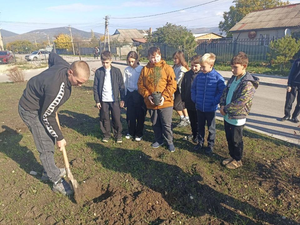 Вместе — за будущее лесов: урок единства Вместе — за будущее лесов: урок единства