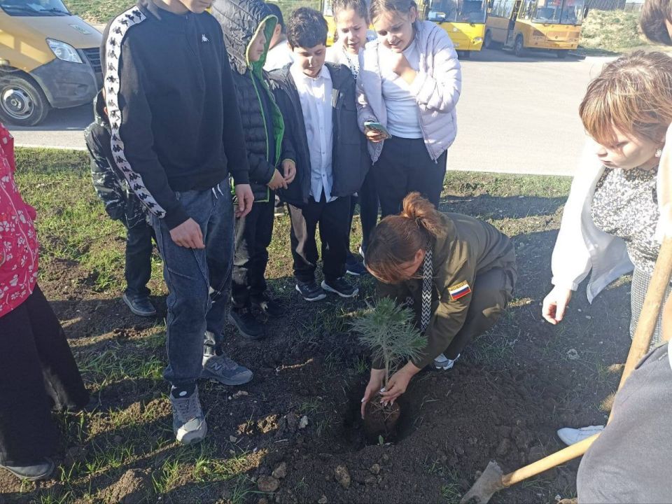 Школьников Севастополя учат бережно относиться к лесам Школьников Севастополя учат бережно относиться к лесам