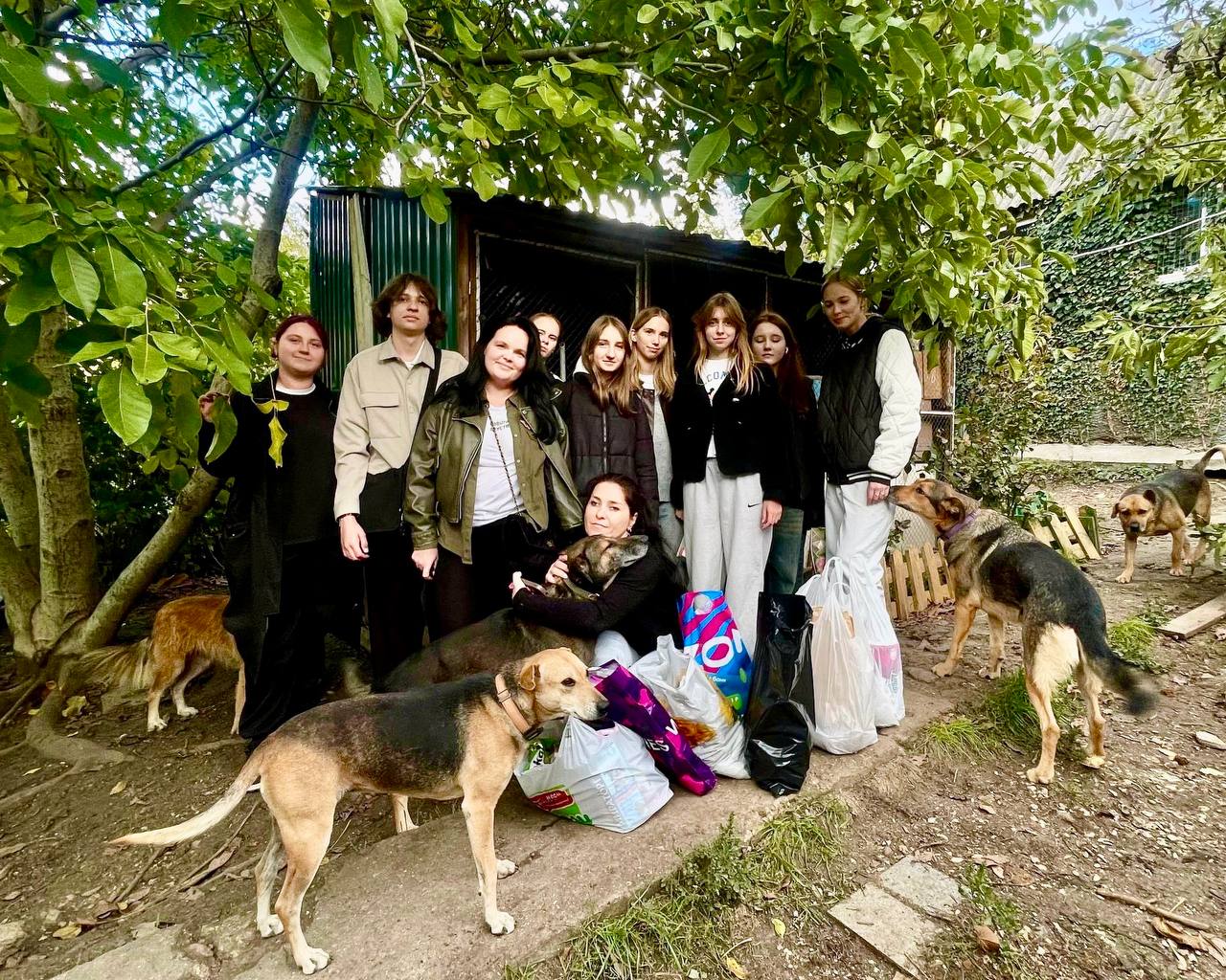 Помощь братьям меньшим. Студенты педагогического колледжа и архитектурно-строительного техникума передали котикам местечка «Кошкин дом» и центра передержки «Шанс» корм и хозяйственные принадлежности