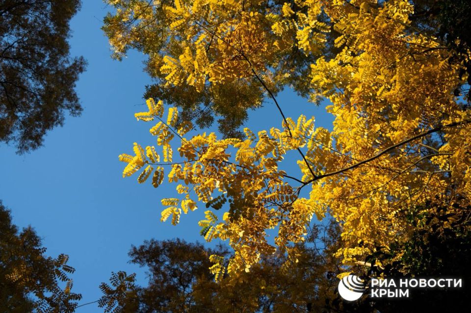 Прогноз погоды в Крыму на среду