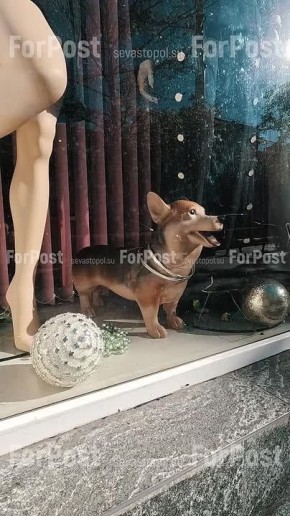 Зверушки и игрушки на Большой Морской:)