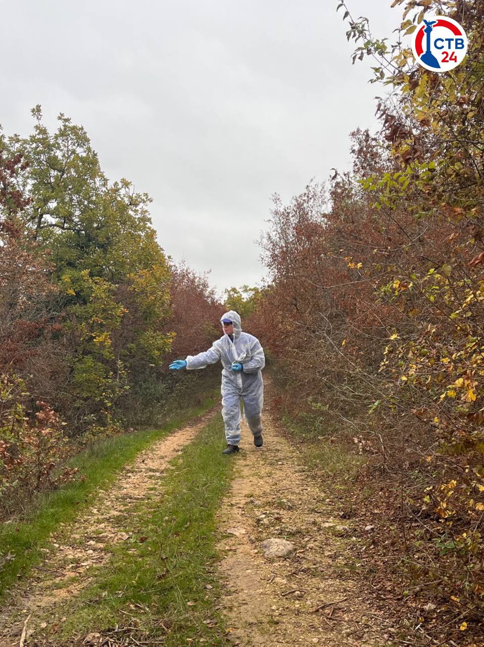 В лесах Севастополя раскладывают съедобную вакцину от бешенства для диких животных В лесах Севастополя раскладывают съедобную вакцину от бешенства для диких животных