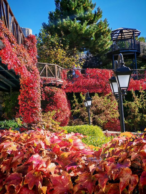 Не успели моргнуть — уже четверг