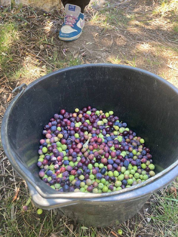 �������� ����� �� ���� ������� 70 ����������� ������ � ������ ����� ������