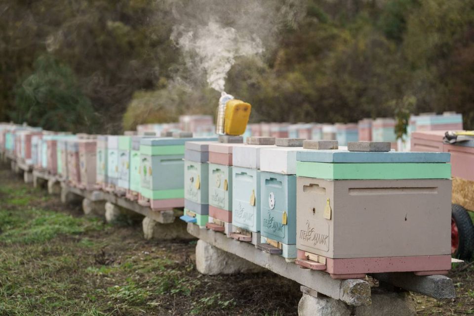 ��������� ����������� � ���� ���� ������� ��� ������ 6 ���� ����