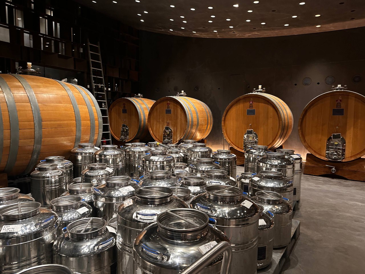 Студенты СевГУ за день собрали 70 килограммов оливок в винном парке «Мрия» Студенты СевГУ за день собрали 70 килограммов оливок в винном парке «Мрия»