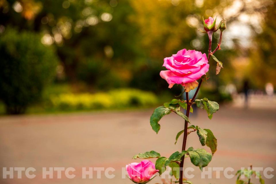 ������ ��� �����: ��� �������� �����������, ����� � ������ ��� ��� ����