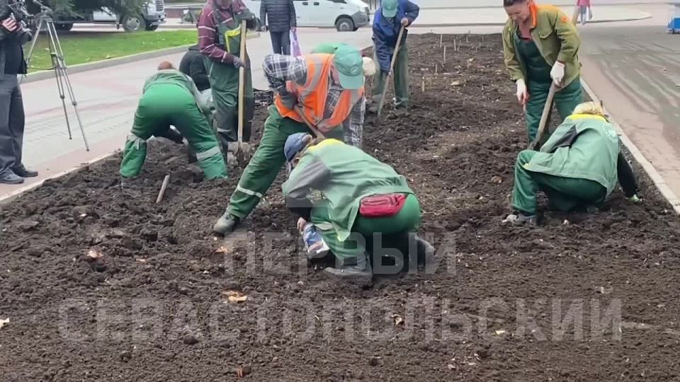 �� ���������� �������� ���������� �������� ���������� ��������