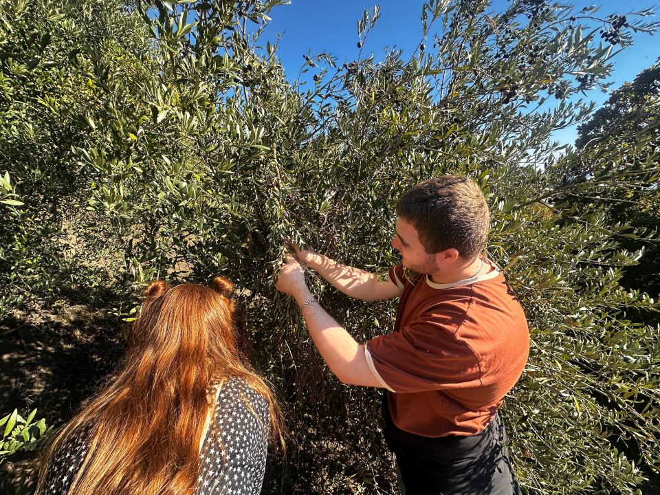 �������� ����� �� ���� ������� 70 ����������� ������ � ������ ����� ������