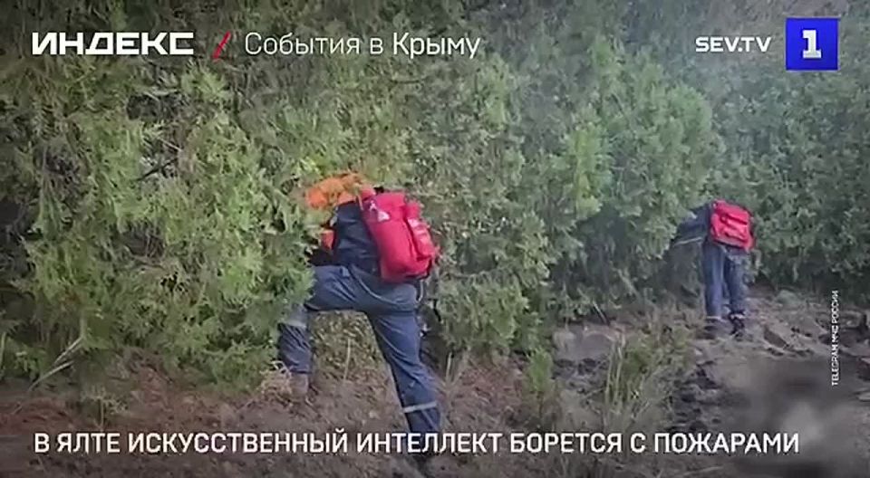 � ���� ������ ��������� ������������� ��������� ��� ������ � ��������