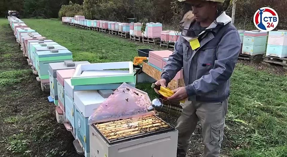 �� ������ � �������� ������� �������� �� ������ ���� ��� � ���