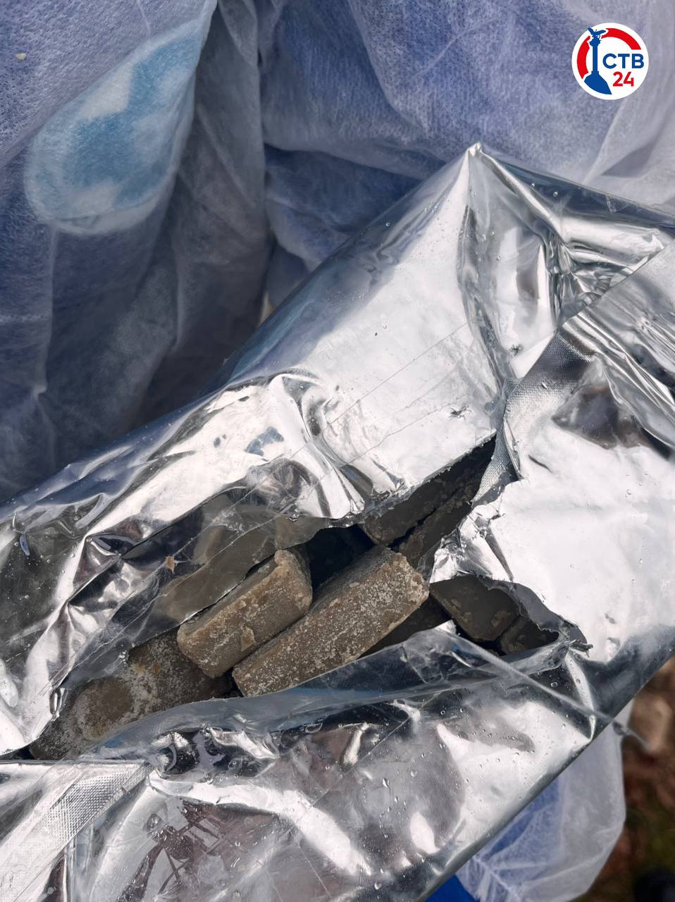 В лесах Севастополя раскладывают съедобную вакцину от бешенства для диких животных В лесах Севастополя раскладывают съедобную вакцину от бешенства для диких животных