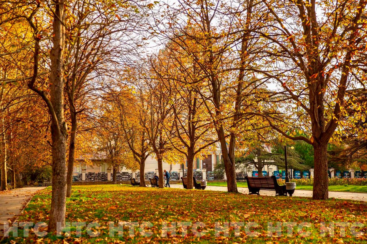 Ноябрь без шапки: как выглядит Севастополь, когда в Сибири уже идёт снег Ноябрь без шапки: как выглядит Севастополь, когда в Сибири уже идёт снег