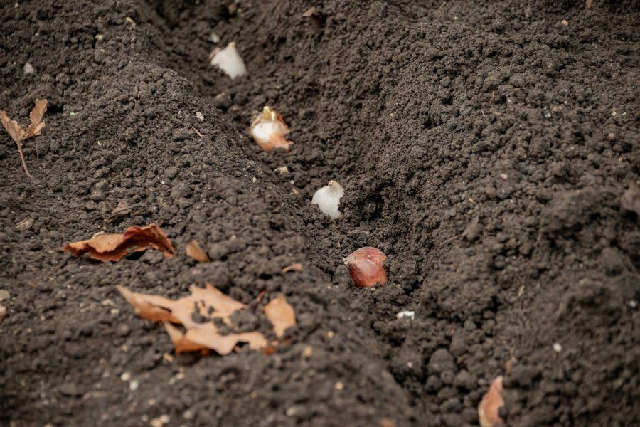 �� ���������� �������� ������� 40 ����� ������� ���������