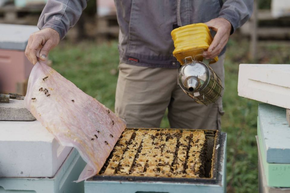 ��������� ����������� � ���� ���� ������� ��� ������ 6 ���� ����