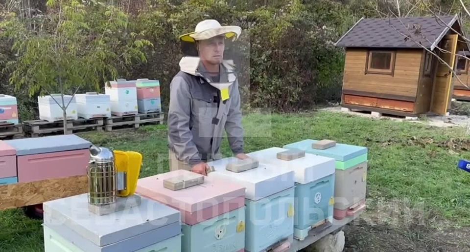 �������������� ��������� � �������� ������� ��������� � ����