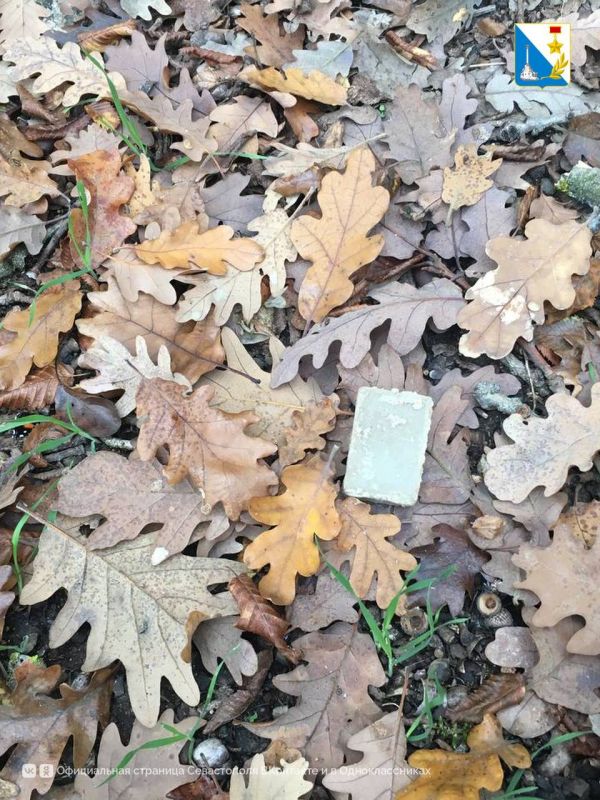 ������ �� ���������. � ����������� ����������� ����� �������� �� ���������