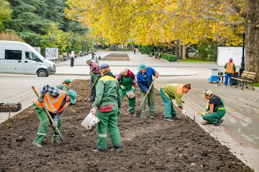 ����������� �������� ���������� � ����� ��� ������: ���������� ������� ������� �������