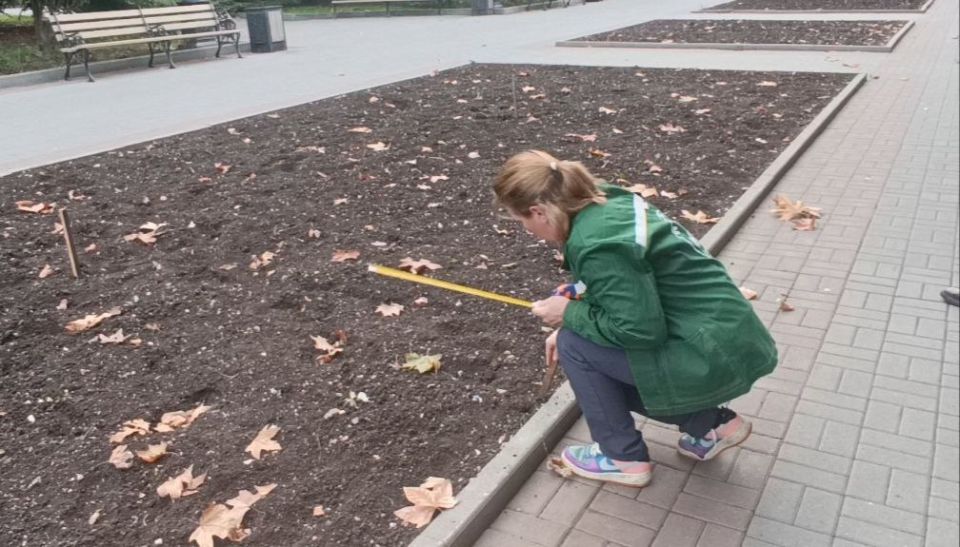 � ����������� ���������� ������� ������� �������, ��������������� ��� ��������� ��������, � ��������� ���������