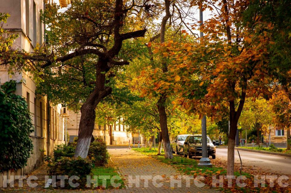 ������ ��� �����: ��� �������� �����������, ����� � ������ ��� ��� ����