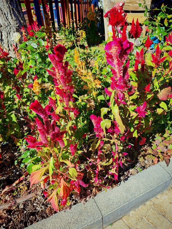 #��� �� ��������?. ���� ���������� � ������������ ���������� ���������� ����� �������� (����������, ������, ����������) ������ ����� �� ������� ������