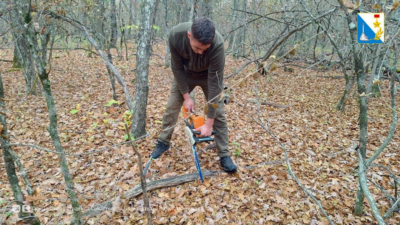 Сотрудники севастопольского лесничества напоминают о правилах сбора валежника
