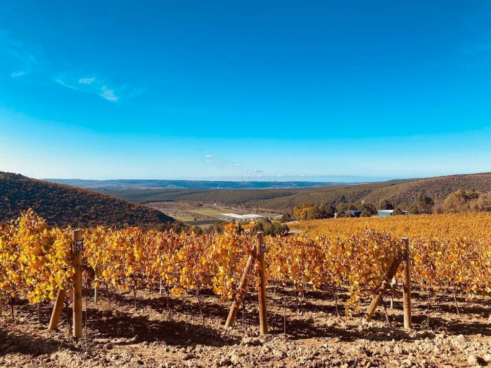 � ����������� ������ ����� ��������� ����������: ������ ������, ����� ����� � ���������� ������������