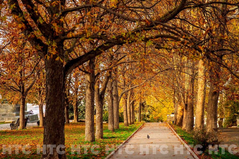 ������ ��� �����: ��� �������� �����������, ����� � ������ ��� ��� ����