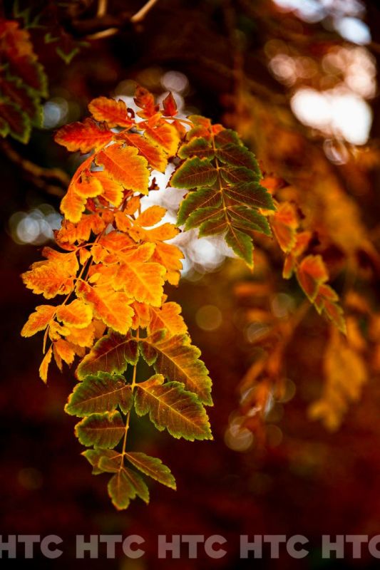 ������ ��� �����: ��� �������� �����������, ����� � ������ ��� ��� ����