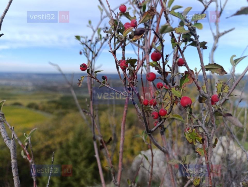 ������ ����, �����������!. ������� ����� ���������� ����������, ��� ������������ �������