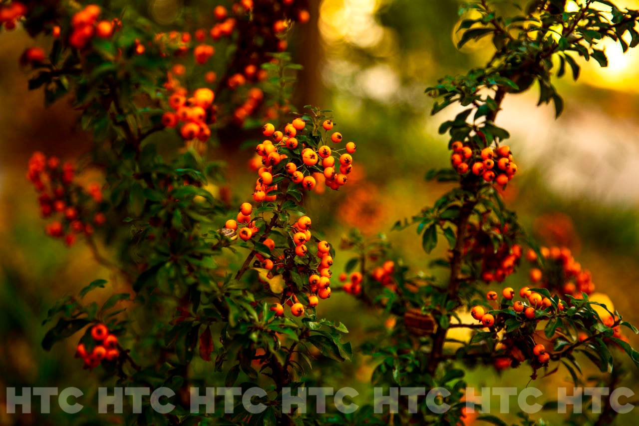 Ноябрь без шапки: как выглядит Севастополь, когда в Сибири уже идёт снег Ноябрь без шапки: как выглядит Севастополь, когда в Сибири уже идёт снег