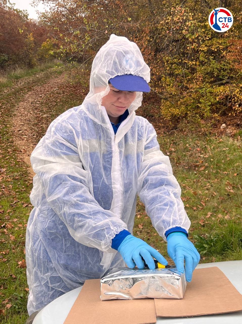 В лесах Севастополя раскладывают съедобную вакцину от бешенства для диких животных