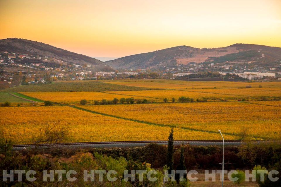 ������ ��� �����: ��� �������� �����������, ����� � ������ ��� ��� ����