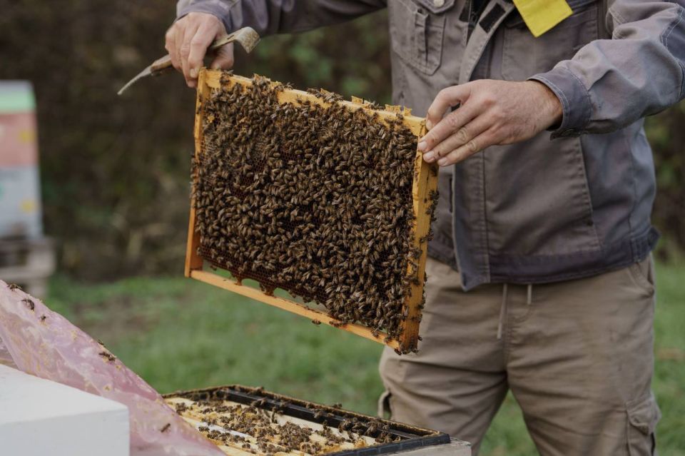 ��������� ����������� � ���� ���� ������� ��� ������ 6 ���� ����