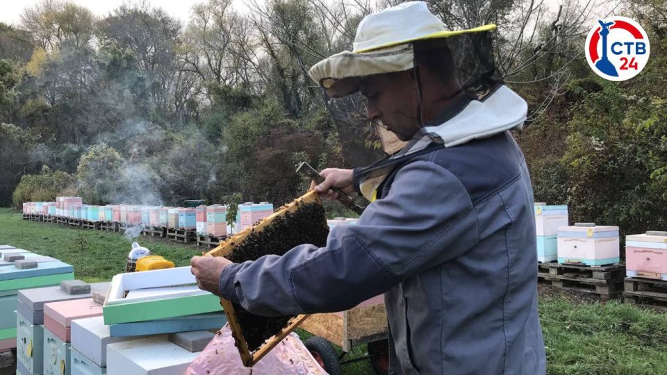 �� ������ � �������� ������� �������� �� ������ ���� ��� � ���