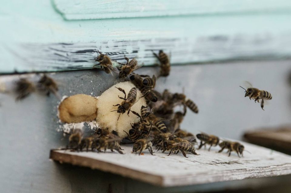 ��������� ����������� � ���� ���� ������� ��� ������ 6 ���� ����